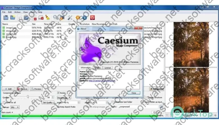 Caesium Image Compressor Activation key